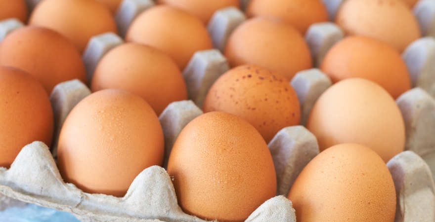 Huevos — proteína para la salud vascular